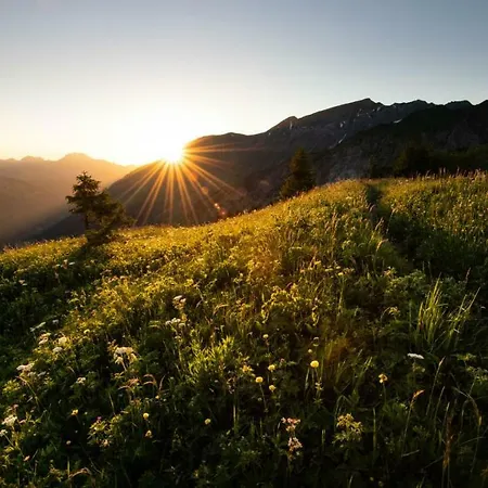 Charmant Entierement Equipe A